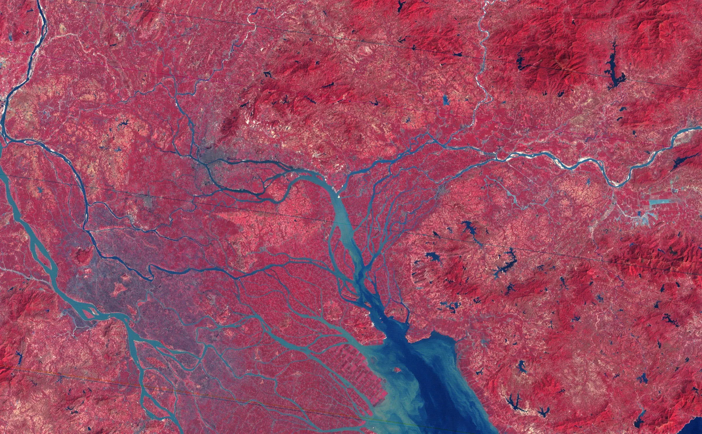 A false-colour satellite image of the Pearl River Delta in 1979, dominated by red vegetation and branching blue-green waterways with few grey built-up areas.
